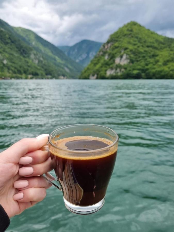 Splav Wake At The Апартамент