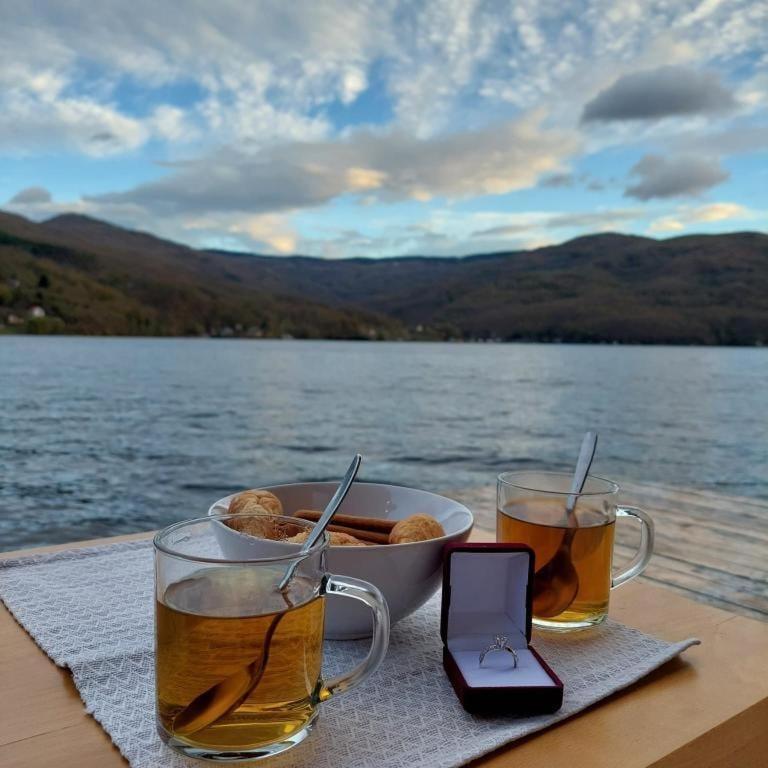 Splav Wake At The Gaocici
