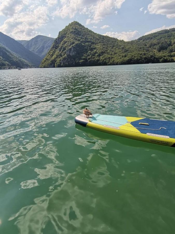 Splav Wake At The Апартамент